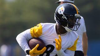 Steelers Fans Gain Clarity About Which Wide Receivers Will And Won't Make The 53-Man Roster (Steelers News). Photo by Kylee Surike / The Patriot-News