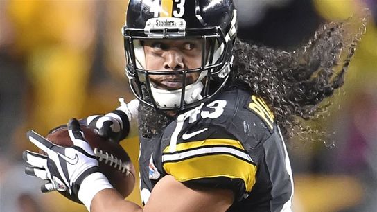 Steelers' Troy Polamalu