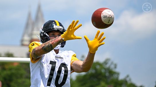 Steelers' Roman Wilson