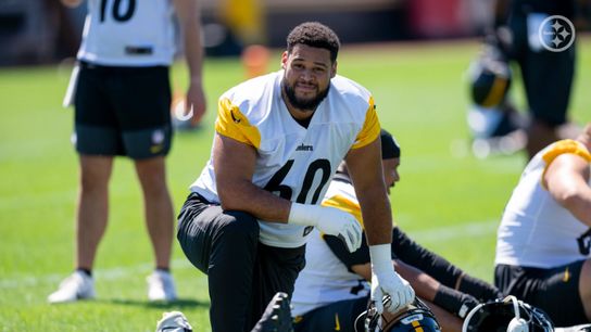 Steelers' Dylan Cook's Inspired Play In 2025 Must Translate To Training Camp (Steelers News)