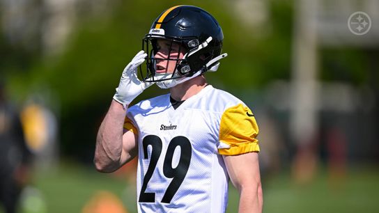 A Roster Spot For Steelers Rookie Eli Heidenreich Just Became More Complicated (Steelers News)