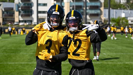 "If You Want To Save Some Money": Steelers Have A Surprising Cut Candidate. Photo by Karl Roser / Pittsburgh Steelers