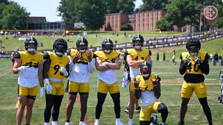 Report: Steelers Ink An Extension With Another Defensive Veteran (Steelers News). Photo by Karl Roser / Pittsburgh Steelers