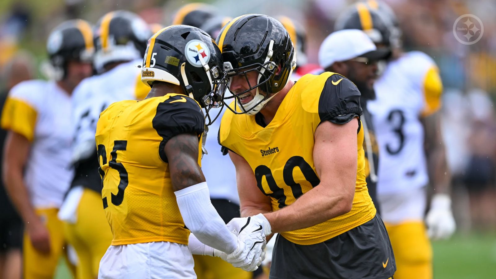 Steelers Star Shared Heartbreaking Moment When He Thought His Career Was Finished: "I Can't Come Back" (Steelers News). Photo by Karl Roser / Pittsburgh Steelers