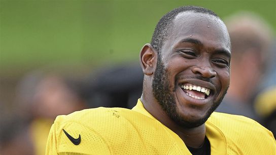 Steelers Vince Williams Steelers Vince Williams
