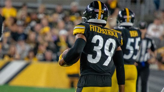 Former Steelers Defender Reveals How Mike Tomlin Reached A Breaking Point With Minkah Fitzpatrick. Photo by Marlon Martin / Golden Sky Media