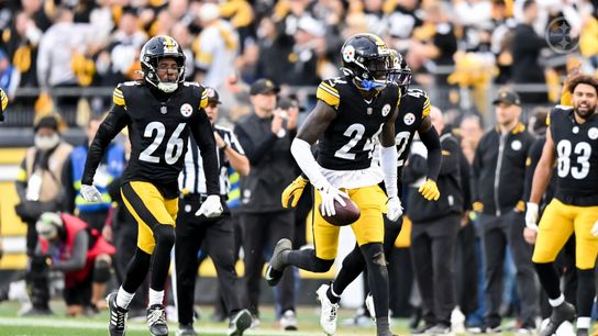 Steelers' Defense Not Given Stamp Of Approval From Critical Former NFL Head Coach (Steelers News)