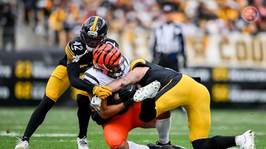 James Pierre (left) and Payton Wilson (right) make a tackle during the Steelers' 34-12 win over the Cincinnati Bengals in Week 11 of the 2025 NFL Regular Season. James Pierre (left) and Payton Wilson (right) make a tackle during the Steelers' 34-12 win over the Cincinnati Bengals in Week 11 of the 2025 NFL Regular Season.