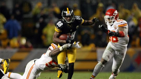 Steelers former WR Emmanuel Sanders