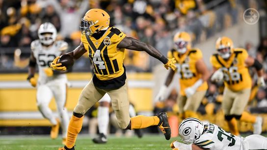 Steelers wide receiver DK Metcalf (4) during a regular season game against the Green Bay Packers.