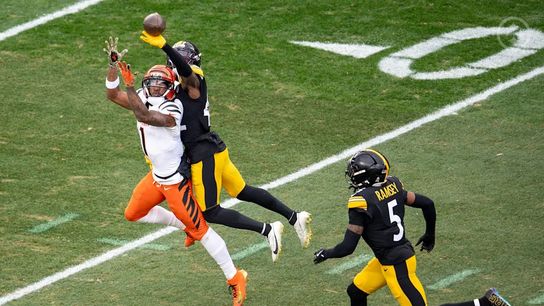 Steelers James Pierre Steelers James Pierre