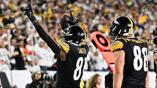 Steelers tight end Jonnu Smith (81) during a regular season game against the Cincinnati Bengals.
