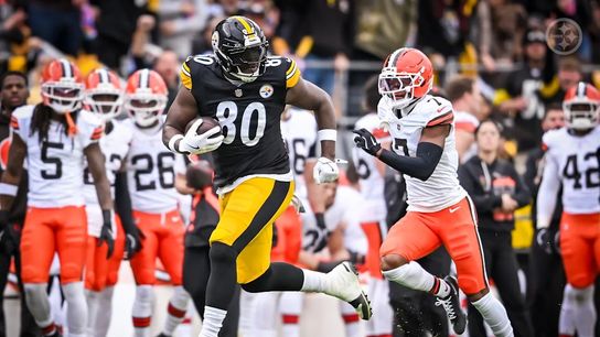 Steelers tight end Darnell Washington (80) in a regular season game against the Cleveland Browns.