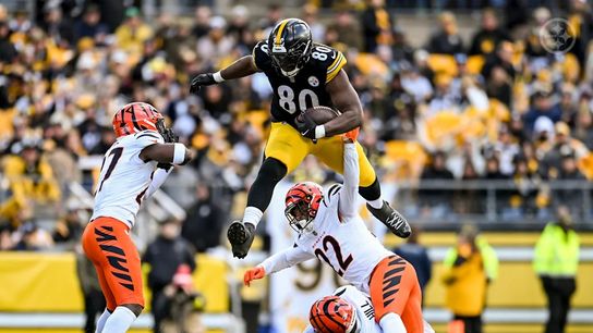 Steelers tight end Darnell Washington (80) during a regular season game between the Pittsburgh Steelers and Cincinnati Bengals.