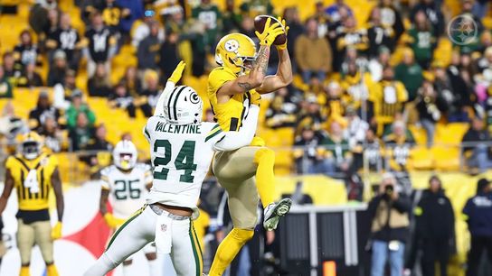 Steelers wide receiver Roman Wilson (10) during a regular season game against the Green Bay Packers.