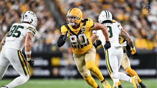 Steelers linebacker T.J. Watt (90) during a regular season game between the Pittsburgh Steelers and Green Bay Packers.