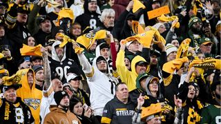 Former Steelers OC Bruce Arians Reveals The Shocking Truth About Pittsburgh's Home Crowd (Steelers News). Photo by Alysa Rubin / Pittsburgh Steelers