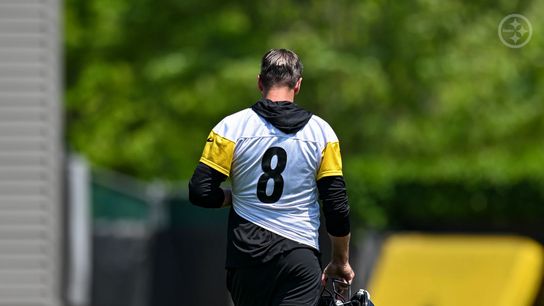 Steelers' Aaron Rodgers Will Be Useful But Won't Be "Babying" Young Quarterbacks (Steelers News)