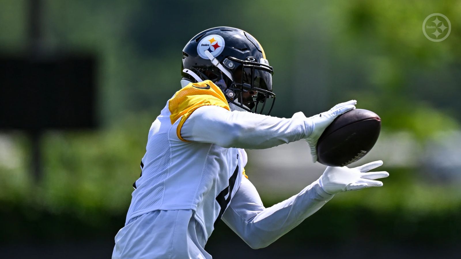 Role For Steelers' DK Metcalf Has New Silver Lining With Michael Pittman Jr. In Pittsburgh (Steelers News). Photo by Alysa Rubin / Pittsburgh Steelers