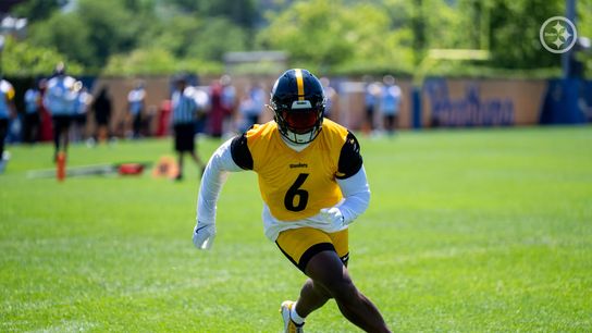 Steelers' Patrick Queen Has Relied On Former Teammate To Understand The New Defense (Steelers News)