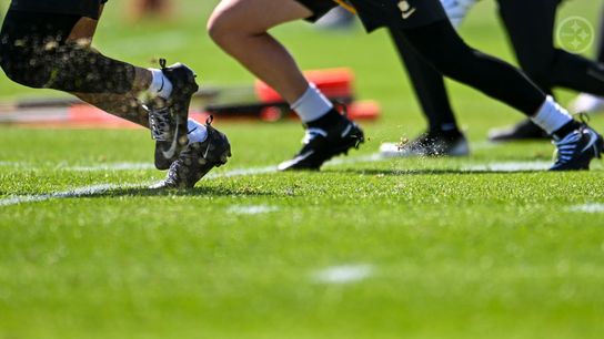 Steelers' Seventh-Round Pick Could Become A Dynamic Part Of The Team (Steelers News)