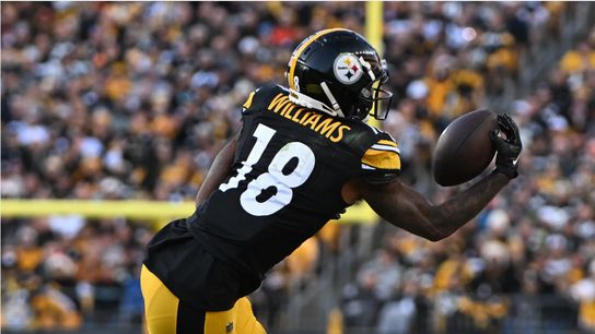 Steelers Mike Williams Steelers Mike Williams