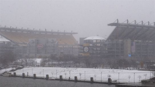 Steelers Week 12 Betting Preview (Steelers News)