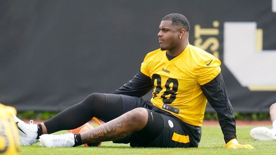 Life After Stephon Tuitt: Answers in Free Agency or do Steelers Stay In-House? (Steelers News)