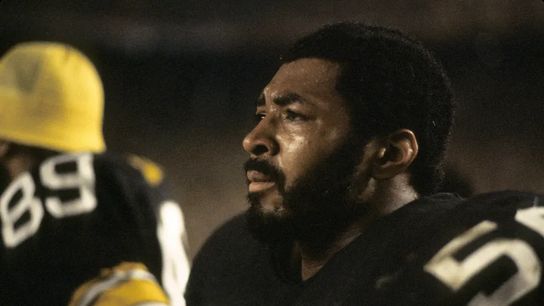 Remembering A True 1980's Steelers Professional: Robin Cole (Steelers News)