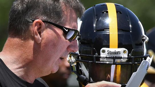 Keith Butler Critical Of Devin Bush's Play; States How He Can Fix It (Steelers News)