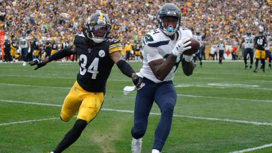 DK Metcalf catches a touchdown against Terrell Edmunds and the Steelers