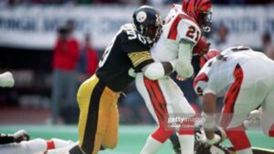 Steelers David Little