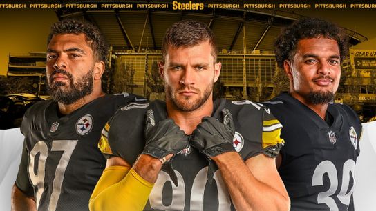Steelers Cam Heyward TJ Watt Minkah Fitzpatrick