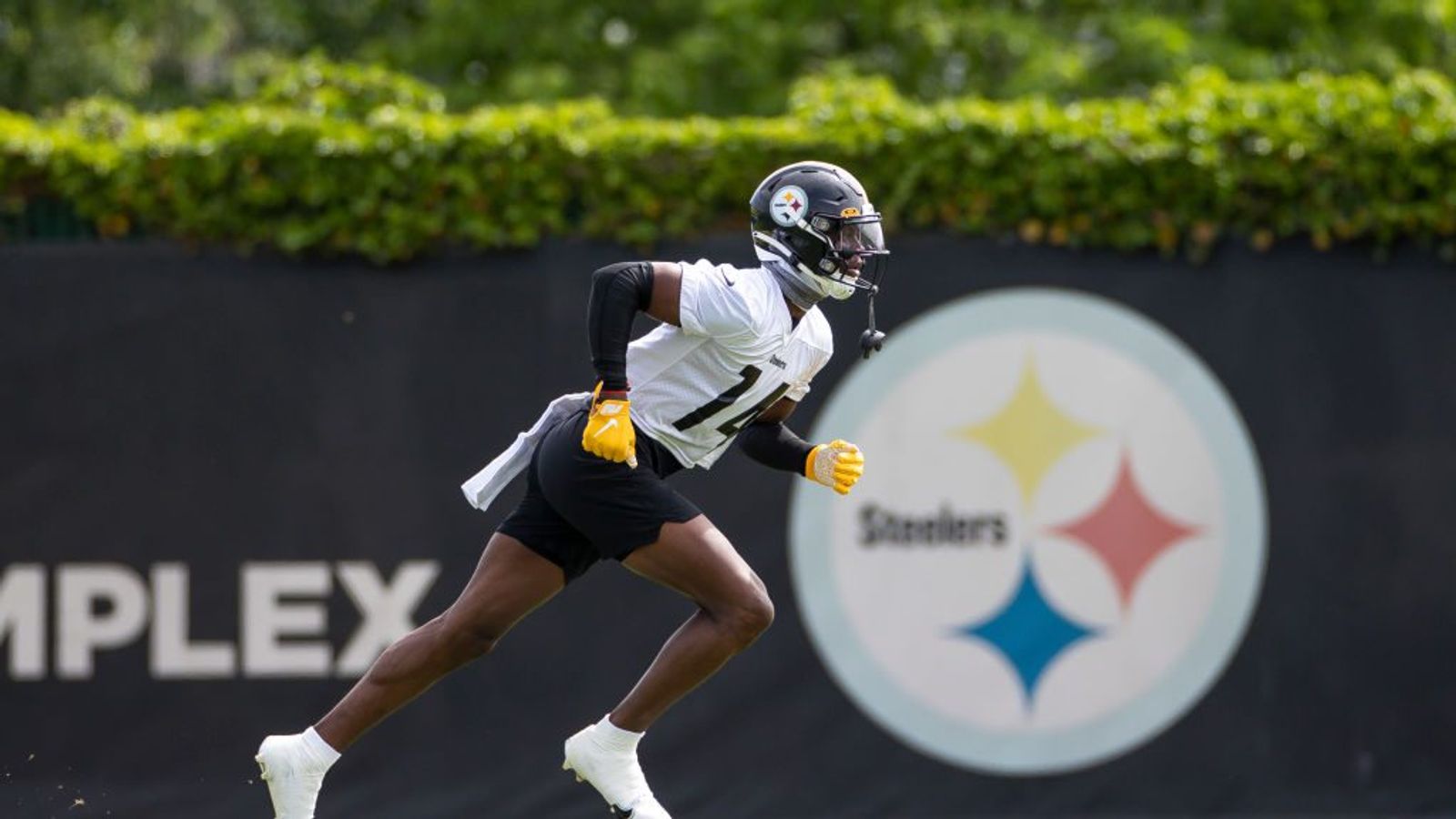 Steelers-By-Position: WRs