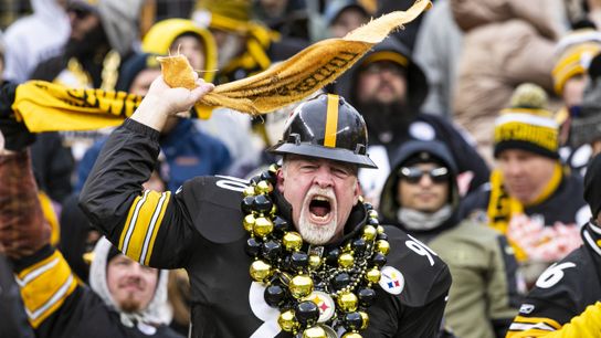 steelers, crowd, 2022