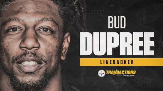 Steelers Franchise Bud Dupree (Free Agency News)