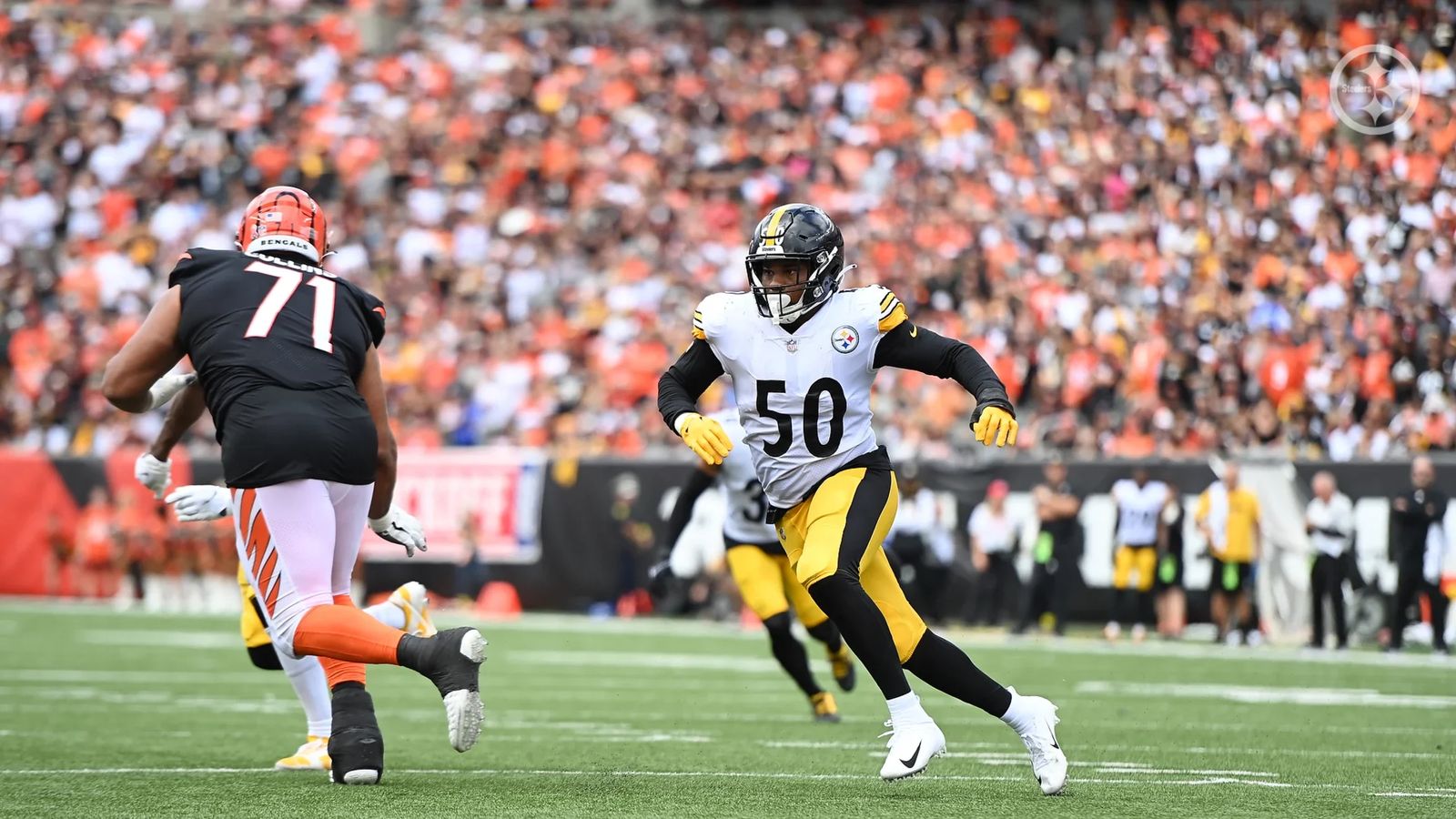 Steelers Acquisition Of OLB Malik Reed Already Proving Its Worth, As The  4-Year Veteran Is Certainly Ready For Extended Opportunity