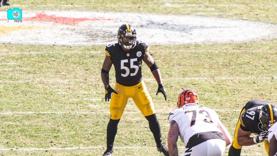 The Steelers Have Declined Devin Bush's 5th Year Option; He Will Be A FA Next Year (Steelers News)