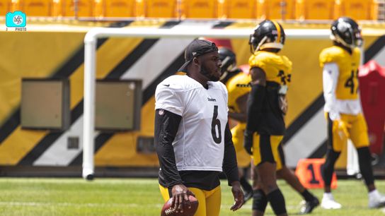 Steelers P Pressley Harvin III Out on Sunday (Steelers News)