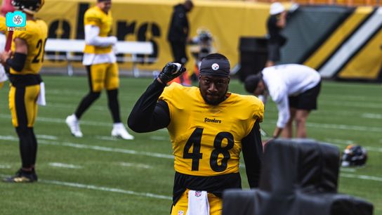 Steelers Quincy Roche