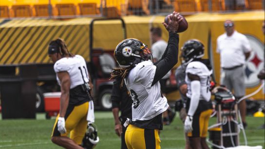 Steelers Announce More Cuts Prior to Tuesday's 53-man Deadline (Off-Season News)
