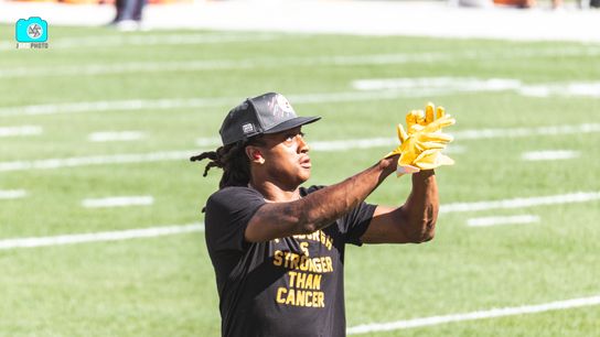 Steelers Terrell Edmunds