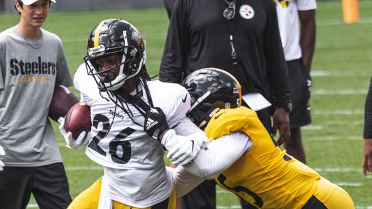 Steelers Place Banner, McFarland and Tuitt on IR (Injury News)