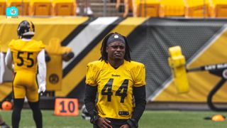 Winners and Losers vs Carolina (Steelers News)