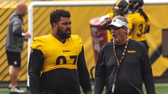 Steelers Keith Butler Cam Heyward