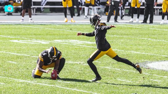 Steelers Chris Boswell Pressley Harvin