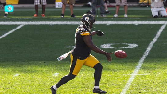 Steelers Pressley Harvin