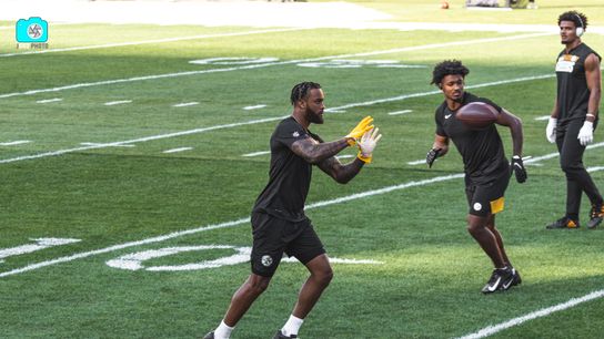 Steelers Mark Gilbert Steelers Mark Gilbert