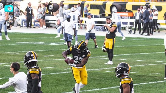 Steelers Trey Edmunds