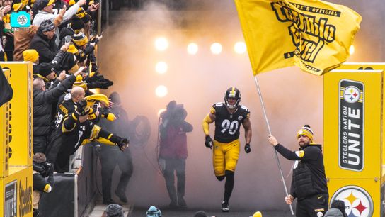 WATCH - TJ Watt's Record Breaking Season (Steelers News)